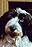 Puppy's primary photo
