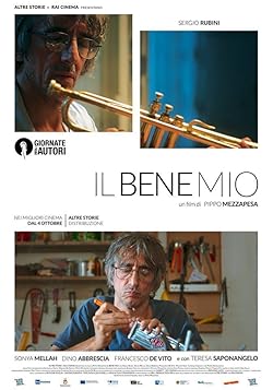 Poster of Il bene mio