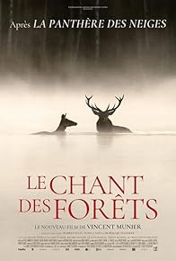 Primary photo for Le chant des forêts