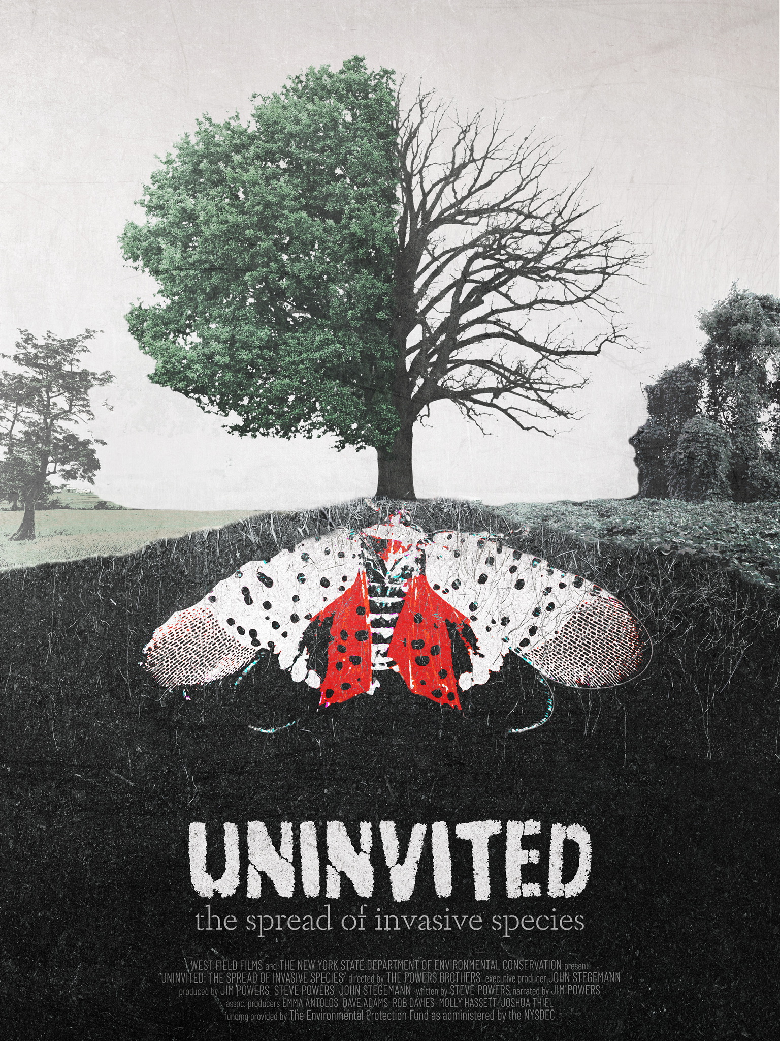 Uninvited: The Spread of Invasive Species