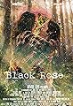 Black Rose's primary photo