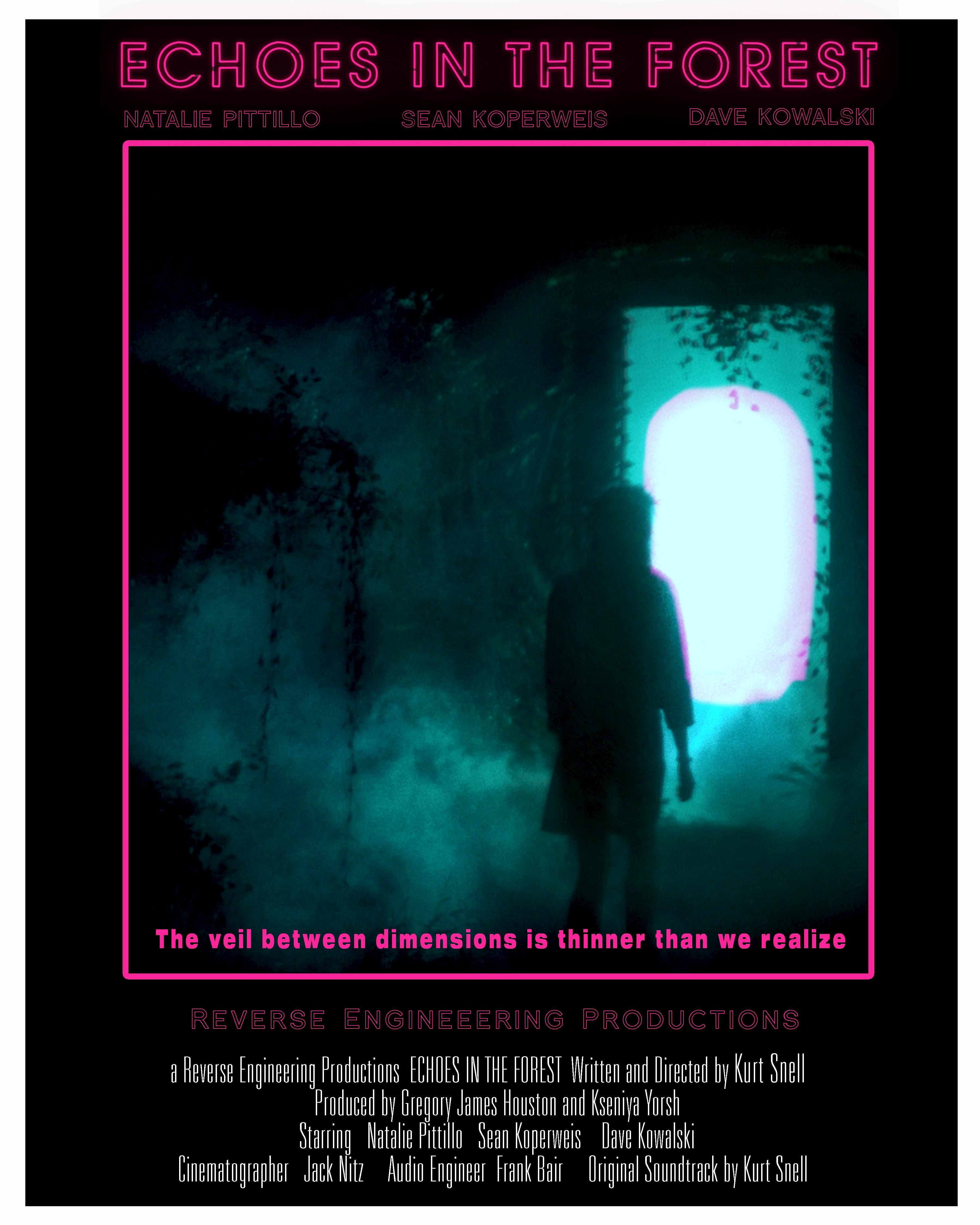 Echoes in the Forest