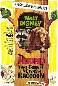 Primary photo for The Hound That Thought He Was a Raccoon