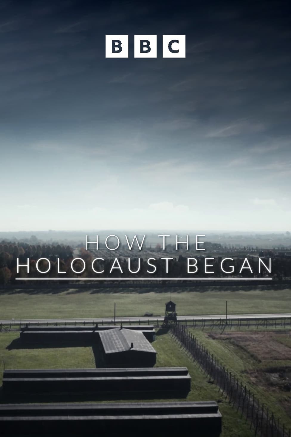 Poster of How the Holocaust Began