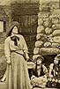 Primary photo for The Hermit of the Rockies Primary photo for The Hermit of the Rockies