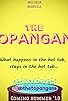 Primary photo for The Topangans