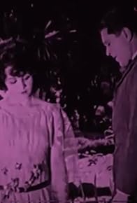 Primary photo for Sawdust