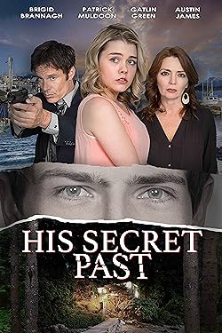 Poster of His Secret Past