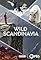 Wild Scandinavia's primary photo