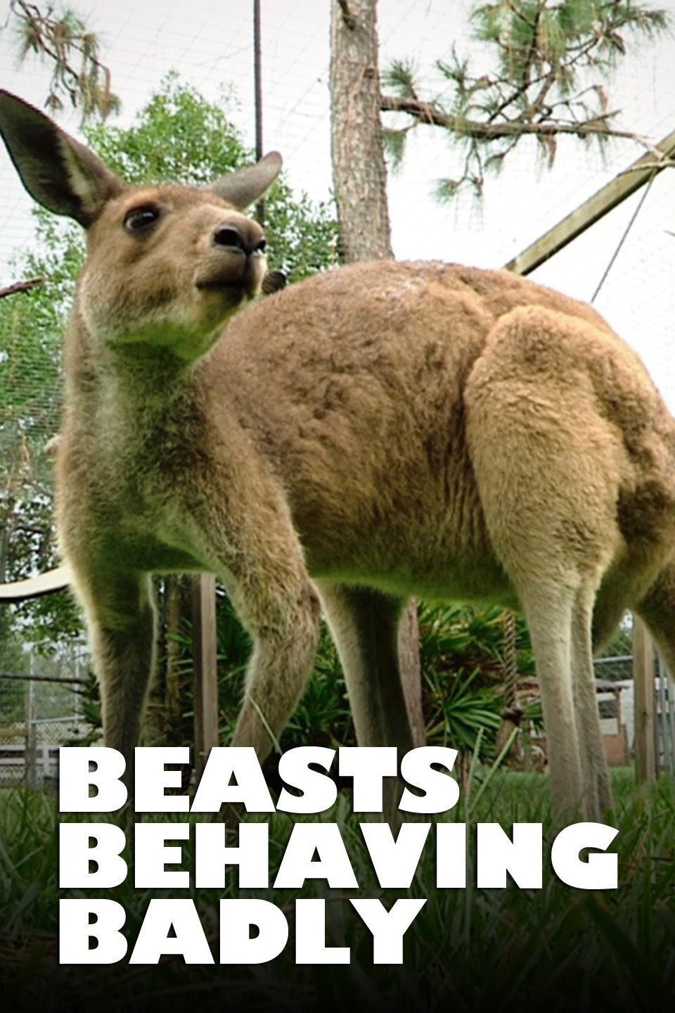 Konvulsiv orgazm haqida porno video Buyuk Ketrin onlayn porno video