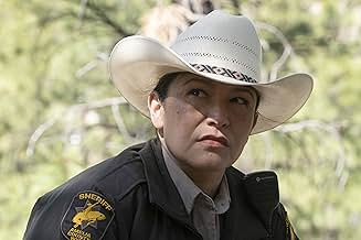 पोस्टर देखें