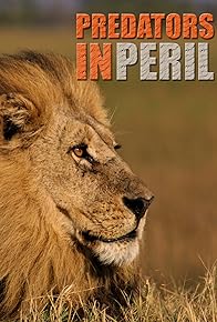 Primary photo for Predators in Peril