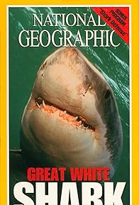 Primary photo for Great White Shark: Truth Behind the Legend