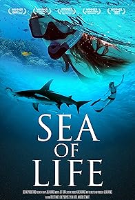 Primary photo for Sea of Life Primary photo for Sea of Life