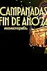 Primary photo for Campanadas de Fin de Año