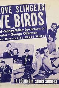 Primary photo for Glove Birds Primary photo for Glove Birds