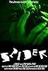 Primary photo for Spider