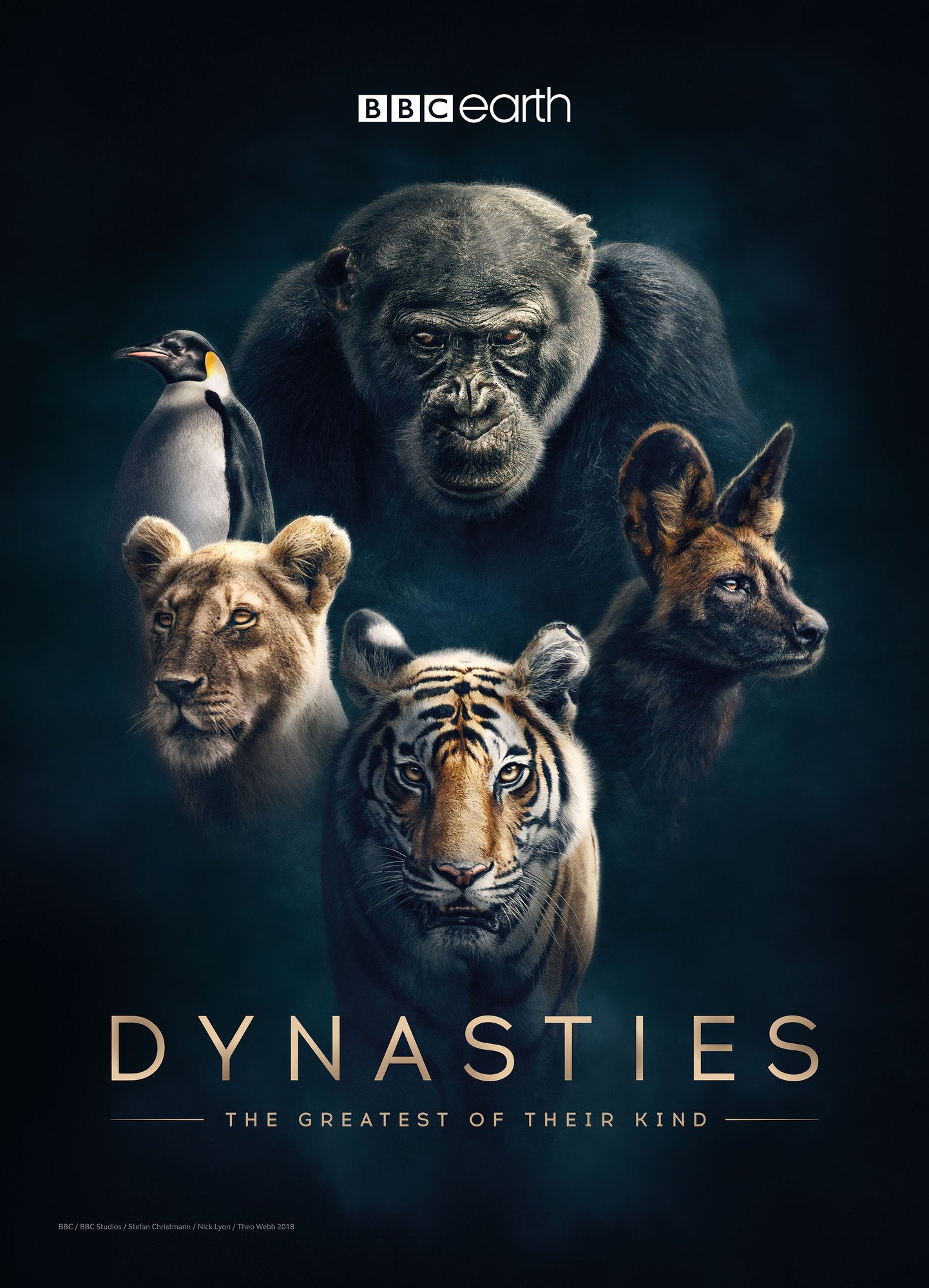 Poster of Dynasties