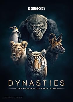 Poster of Dynasties