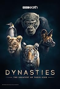 Primary photo for Dynasties Primary photo for Dynasties