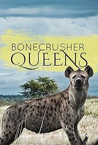 Primary photo for Clash of the Hyenas