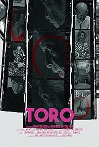 Primary photo for Toro