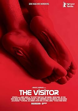 Poster of The Visitor