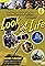 Look at Life: Free Fall's primary photo
