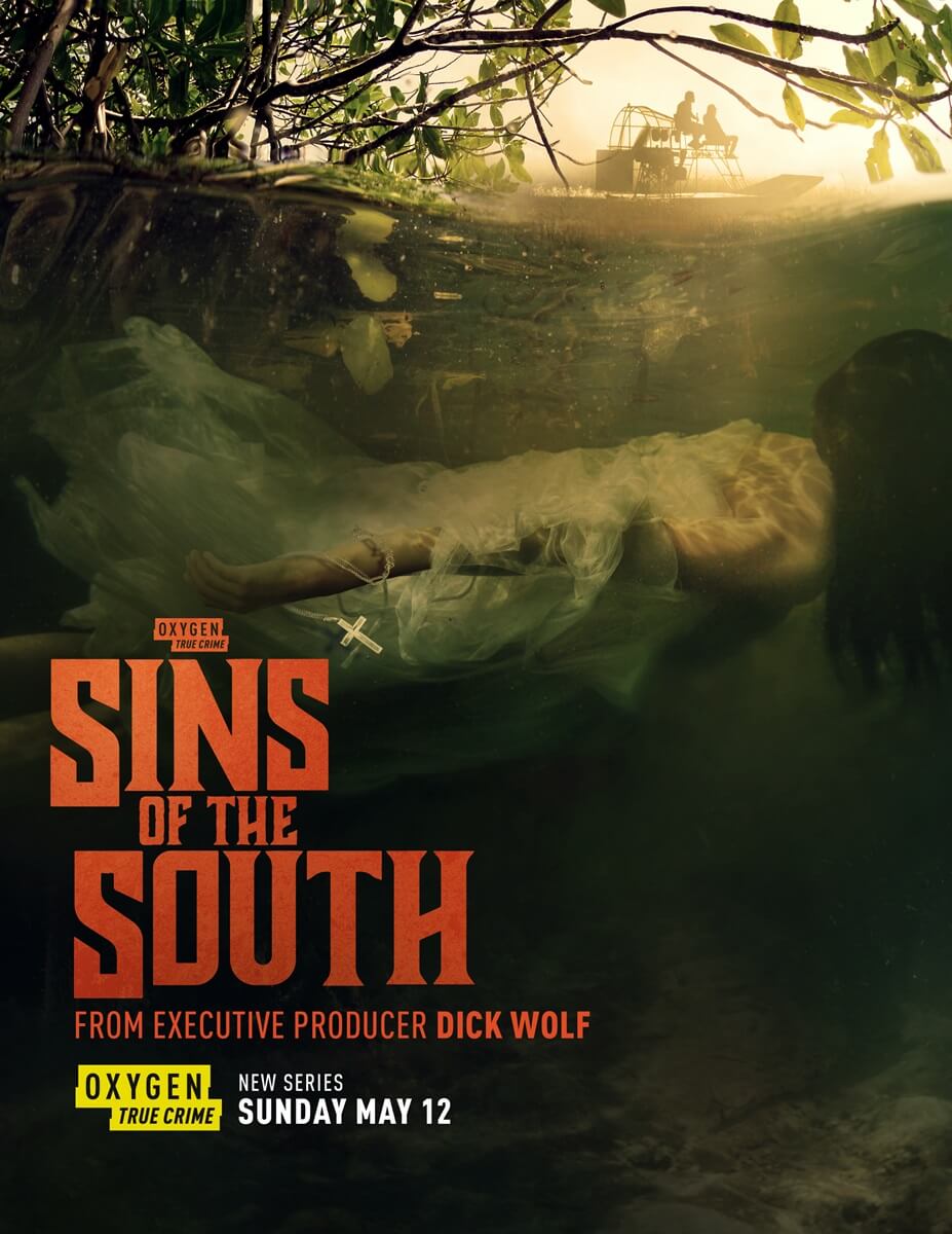 Poster of Sins Of The South