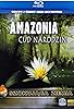 Primary photo for Amazonie, la vie au bout des doigts Primary photo for Amazonie, la vie au bout des doigts