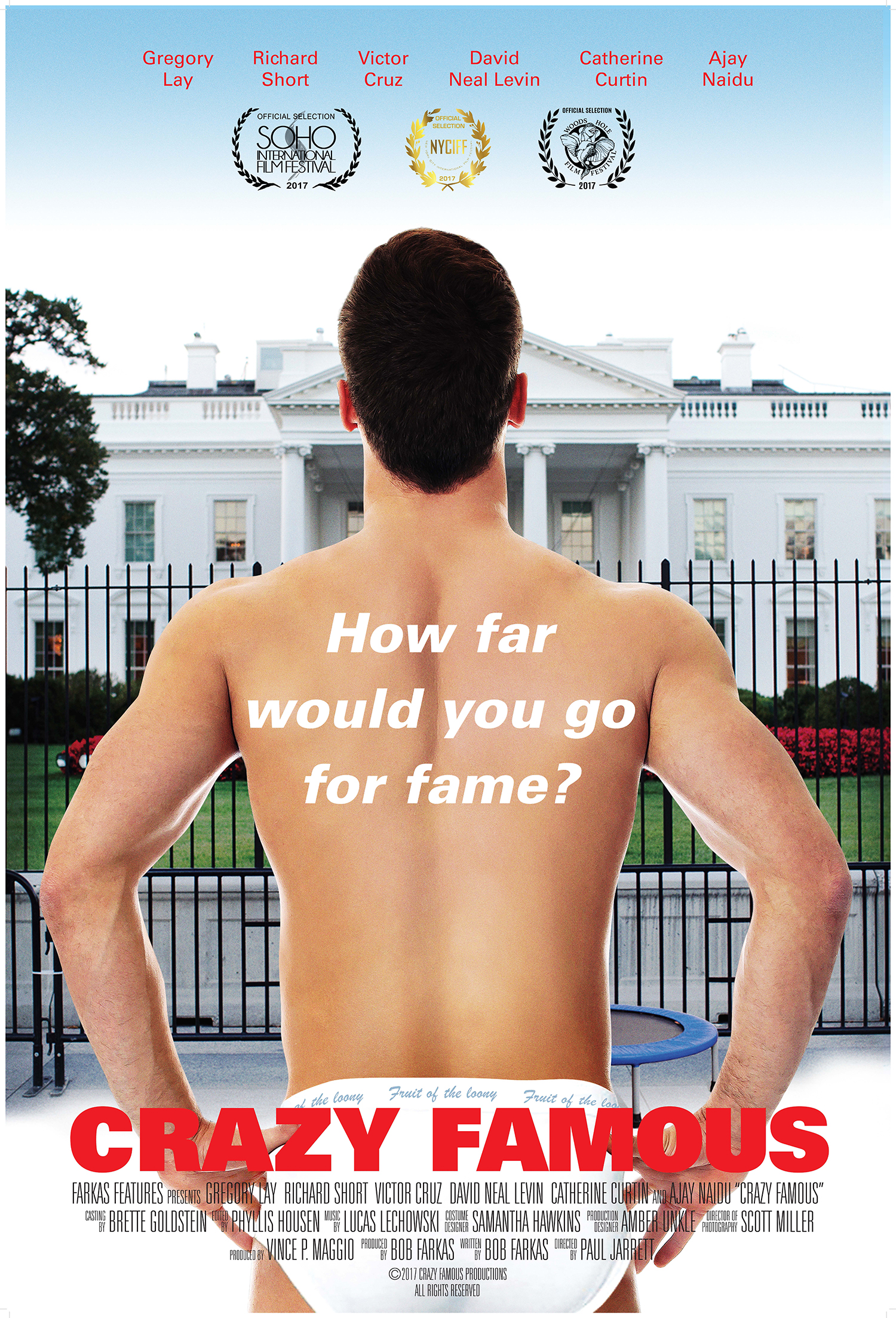 Poster of Crazy Famous