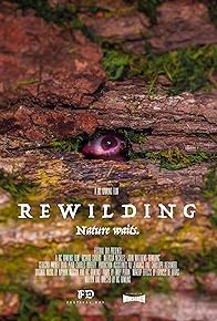Primary photo for Rewilding