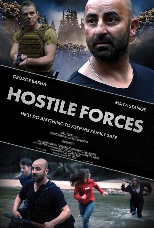 Poster of Hostile Forces