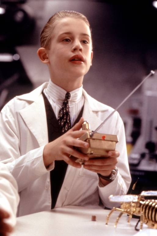 Falta el título de la foto.