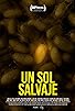 Primary photo for Un sol salvaje Primary photo for Un sol salvaje