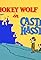 Castle Hassle's primary photo