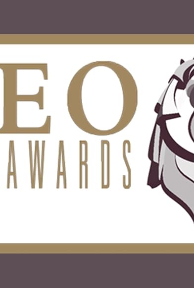 Primary photo for The 8th Annual Leo Awards Primary photo for The 8th Annual Leo Awards