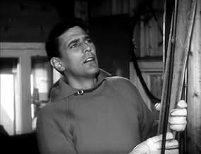 पोस्टर देखें