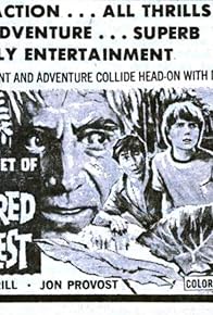 Primary photo for The Secret of the Sacred Forest