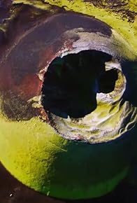 Primary photo for Island: Sommer der Polarfüchse