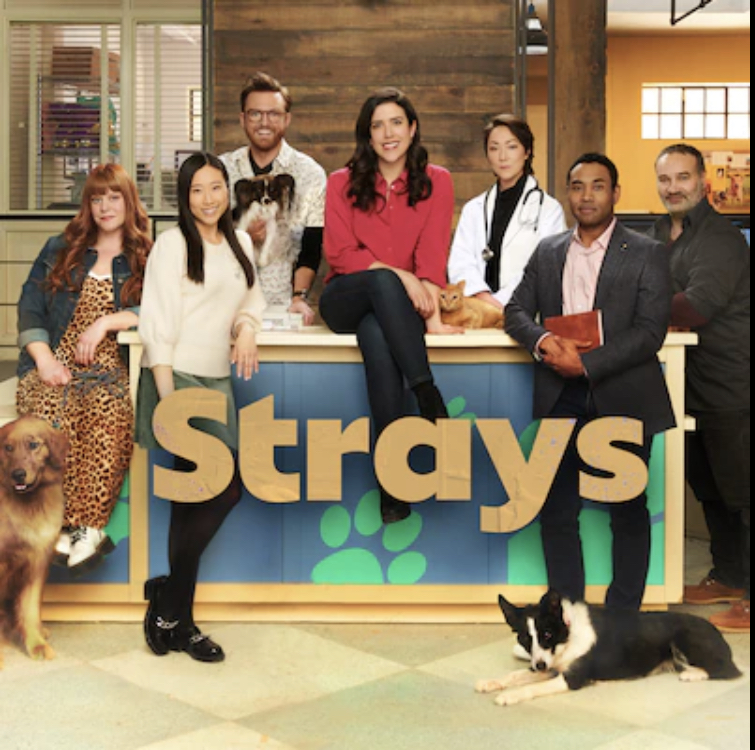 Poster of Strays