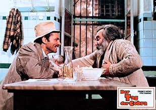 पोस्टर देखें