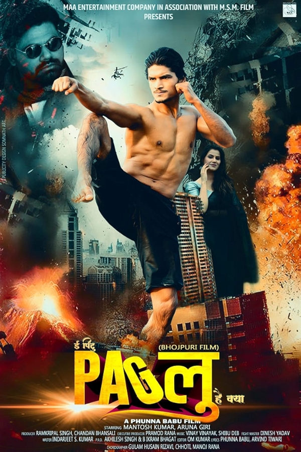 Movie poster for EE PINTU PAGLU HAI KYA (UA rated)