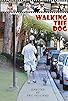 Primary photo for Walking the Dog Primary photo for Walking the Dog