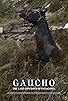 Primary photo for Gaucho: The Last Cowboys of Patagonia Primary photo for Gaucho: The Last Cowboys of Patagonia