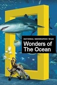 Wonders of the Ocean (TV Series 2019– ) - IMDb