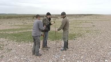 पोस्टर देखें