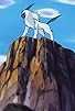 Primary photo for Absol! Creeping Shadow of Disaster Primary photo for Absol! Creeping Shadow of Disaster