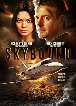 Poster of Skybound