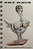 Primary photo for Sky Rats: The Legend of Scrappy Primary photo for Sky Rats: The Legend of Scrappy
